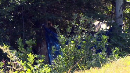 Accident mortel Notre-Dame-du-Portage 14 août 2020