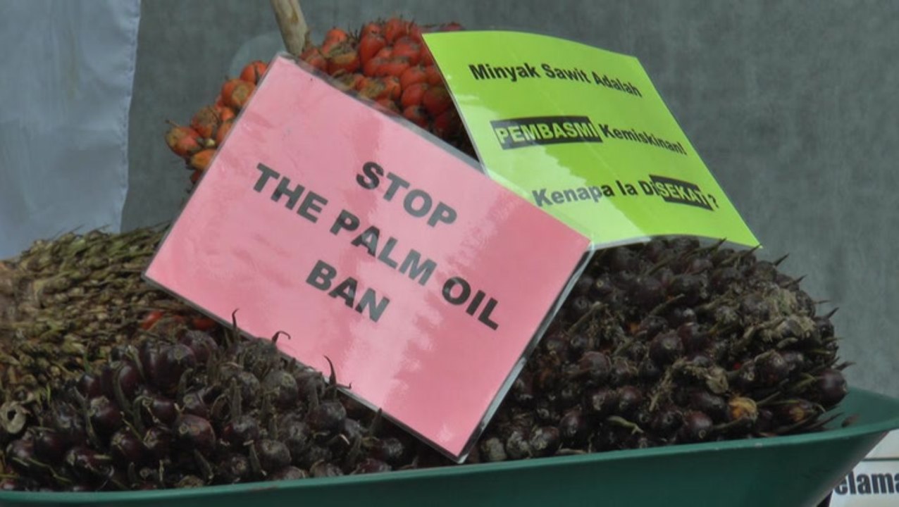 Felda settlers and smallholders protest against EU’s palm oil ban