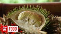 DURIAN ADVENTURE: Affordable durian from the hill