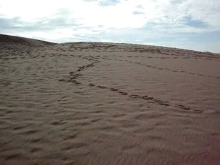 La dune du Pyla 19/02