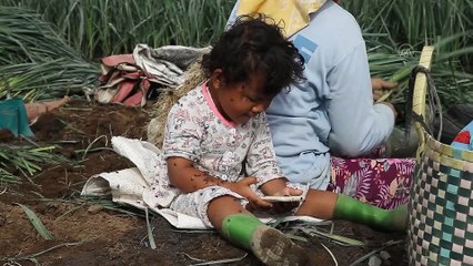 Endonezya'da Sinabung yanardağı hareketlendi - KARO
