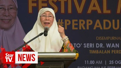 Wan Azizah: Be more responsible in using social media
