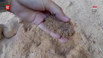 Sungai Lembu factory finally shuts down