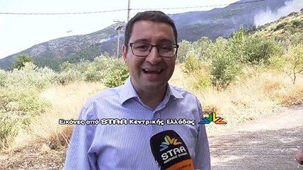 Φωτιά στην Αταλάντη - Μεγάλη κινητοποίηση της Πυροσβεστικής