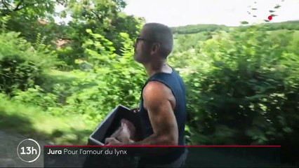 Jura : pour l’amour du lynx