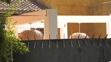 La asociación Andalucía de noche pide que les vuelvan a cerrar las discotecas
