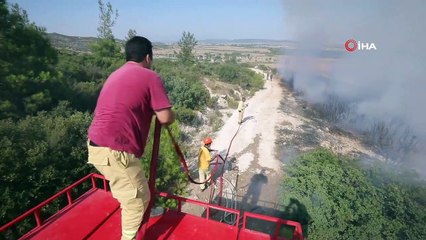 Erken müdahale binlerce hektar ormanı kurtardı