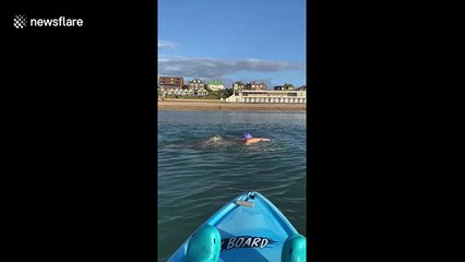 Swimming with Sammy the Seal in Weymouth Bay, UK