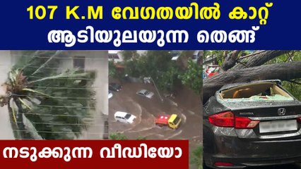 Impact of Heavy Rainfall, Strong Winds in Mumbai