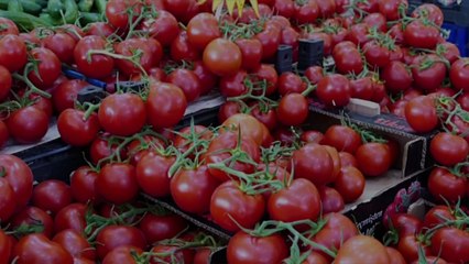 How to Store Tomatoes