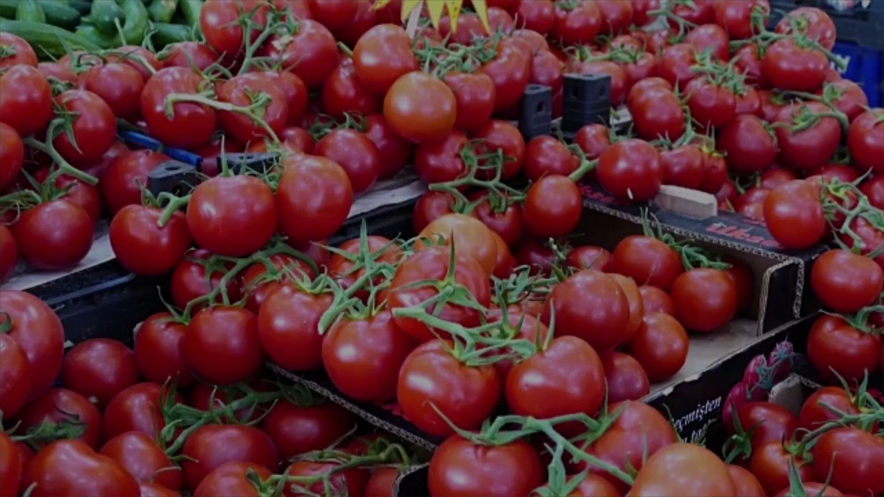 How to Store Tomatoes