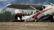 Large Grizzly Bear Climbs onto Airplane