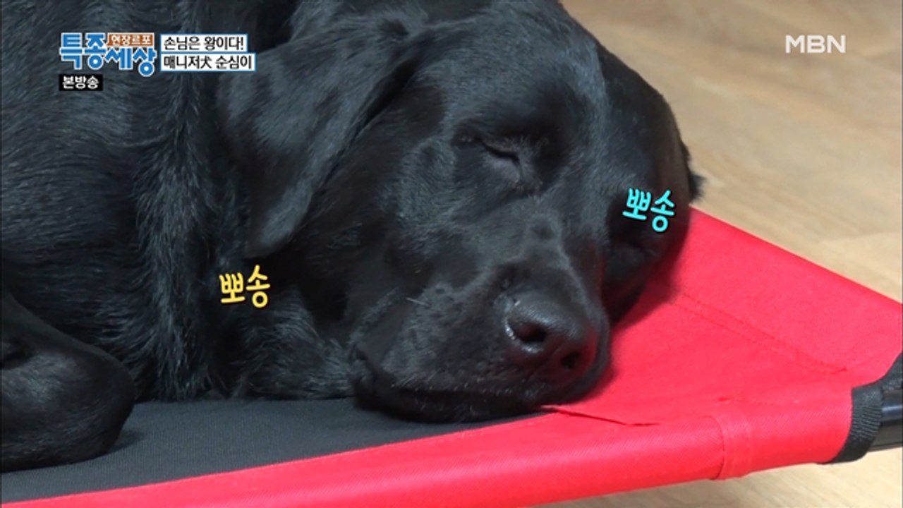 집에서도 멈출 수 없는 심부름 본능!