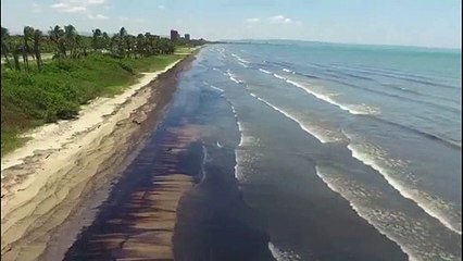 Derrame de hidrocarburos afecta emblemática reserva marina de Venezuela