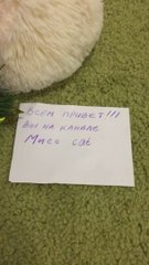 Sophia Isabella Fazendo Ginástica  Parte  2