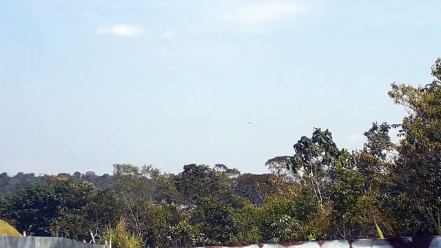 [SBEG Spotting]Airbus A330-300 PR-AIU na final antes de pousar em Manaus vindo de Campinas(06/08/2020)