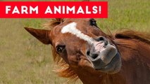 The Funniest Farm Animals Home Video Bloopers of 2017 Weekly Compilation _ Funny Pet Videos