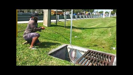 SEWER FISHING for BIG Exotic FISH!