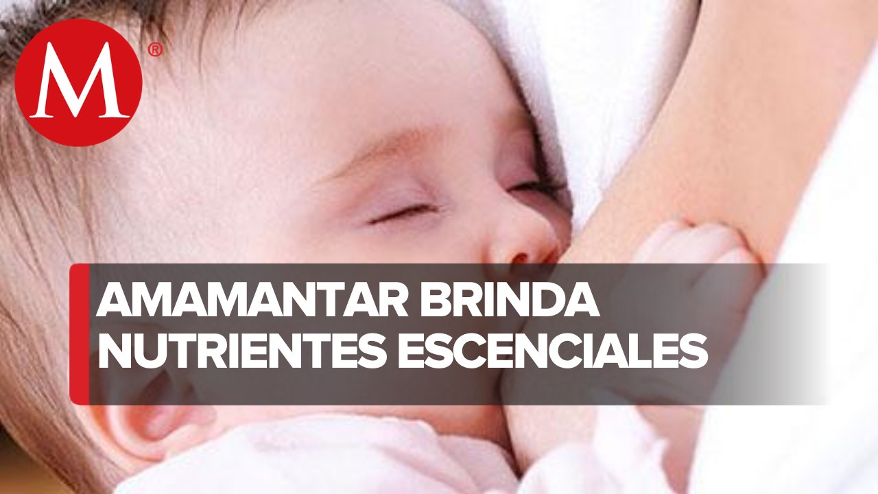 Lactancia materna, benéfica para madres, hijos e hijas