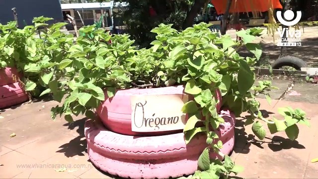 Comunidad educativa fortalece prácticas ambientales en Nicaragua