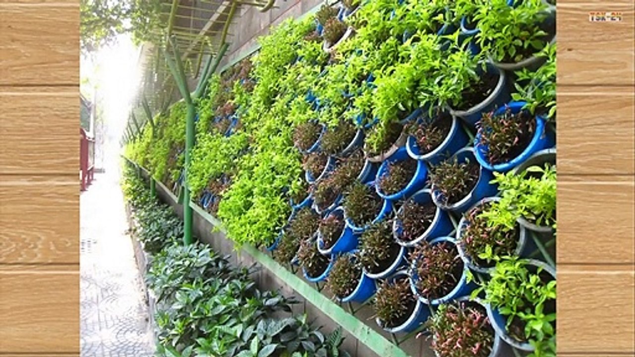 [EASY] Top 80 Cheap DIY Edging Ideas