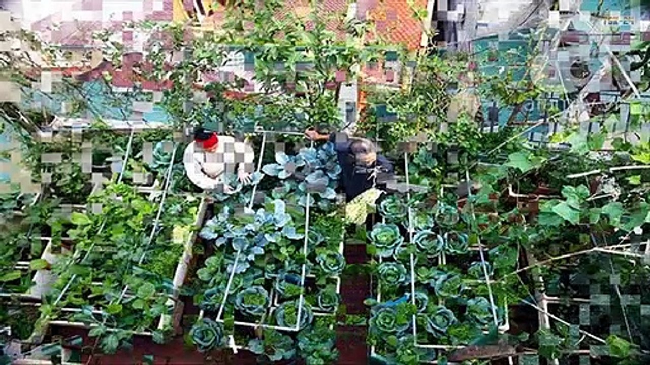 [Cute and Easy] Top 80 Small Vegetable Garden Ideas