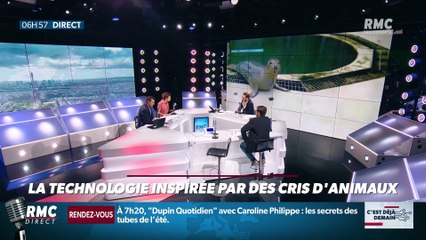 La chronique de Nina Godart : La technologie inspirée par des cris d'animaux - 07/08