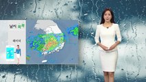 [날씨] 충청이남 집중호우...밤사이 비구름대 북상 / YTN
