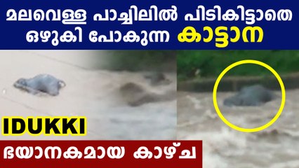 Elephant drowned in heavy rain | Oneindia Malayalam