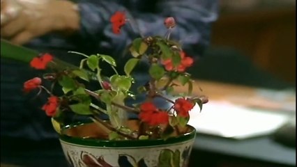 Mind Your Language - Season 2 - Episode 3 - Brief Re-Encount English Subtitle