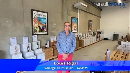 AGGLO HERAULT MEDITERRANEE - Vinocap se prolonge du coté de Gigamed à Bessan