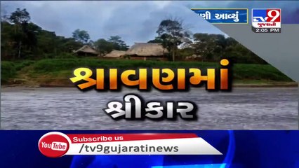 Heavy rain in highland area, 4 gates of Bhadar-2 dam opened - Rajkot