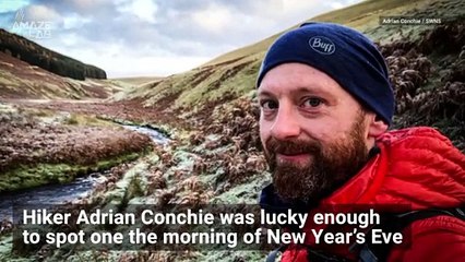 This Beautiful and Magical ‘Rainbow Halo’ Phenomenon Captured by Hiker in England