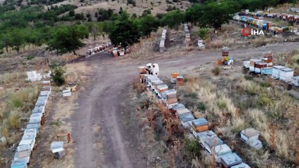 10 çeşit bitkiden elde edilen her derde deva balın kilosu 100 lira