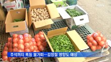 금시금치·금애호박…긴 장마에 채소 가격 '폭등'