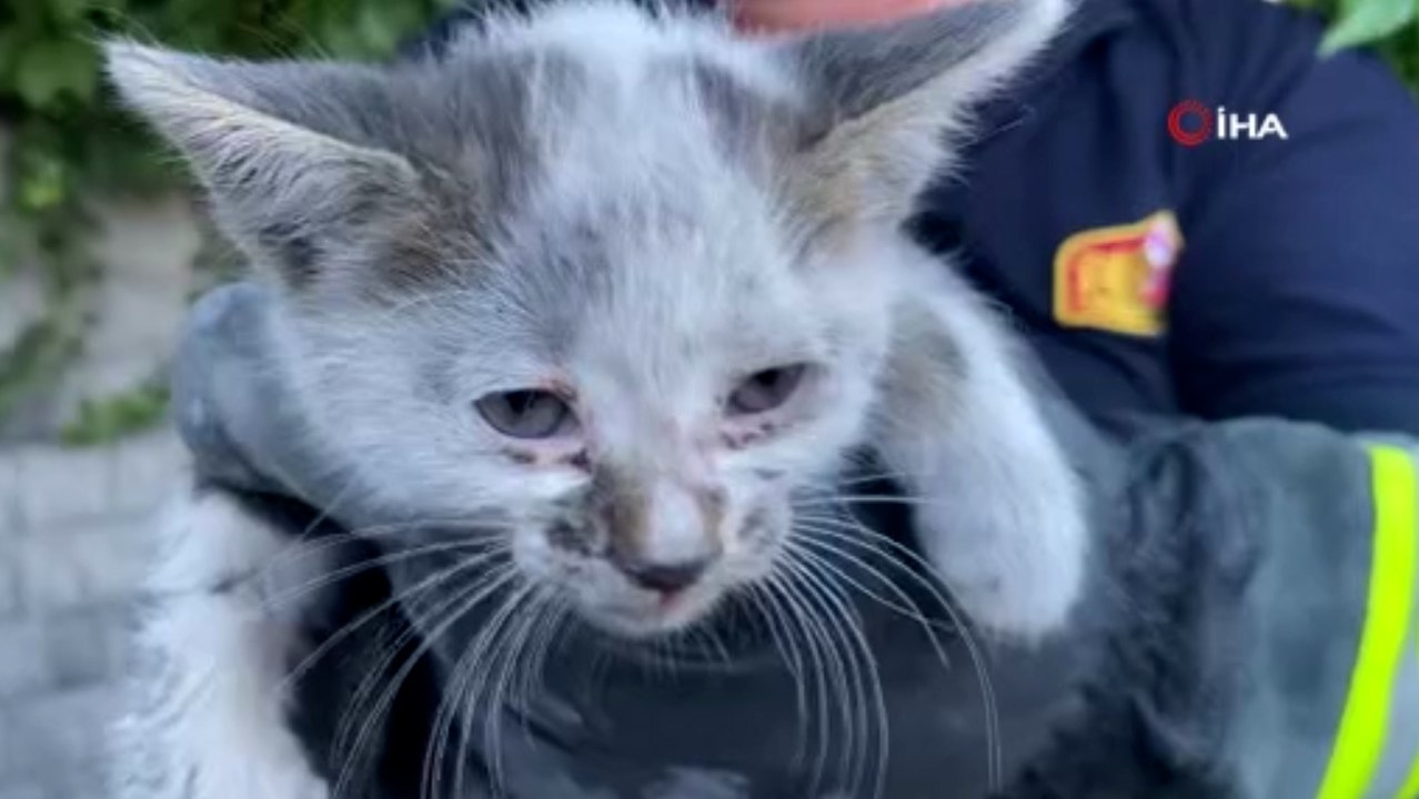 Yavru kedi sıkıştığı yerden telefonla kedi sesi dinletilerek kurtarıldı