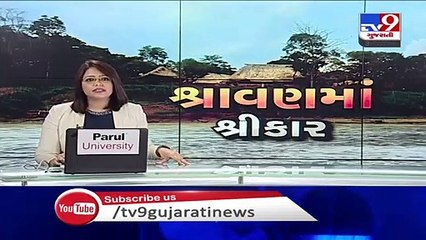 Parts of Gujarat witness rainfall