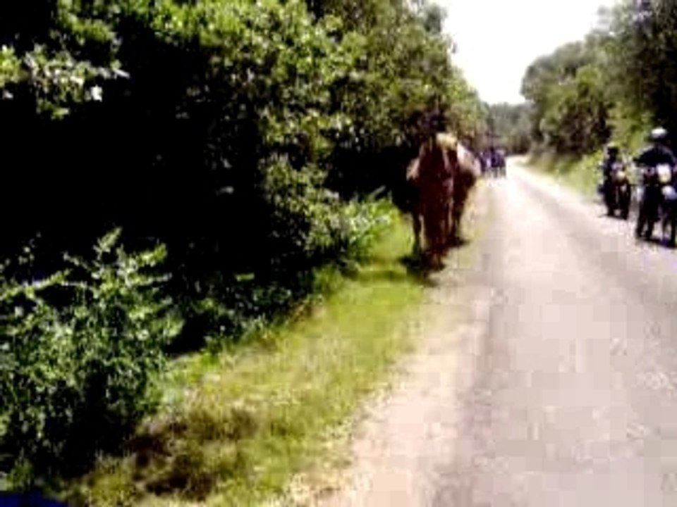 balade moto entre potes