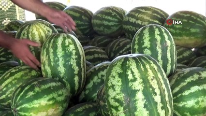 Kavurucu sıcakta karpuz satarak ekmek parasını kazanıyor