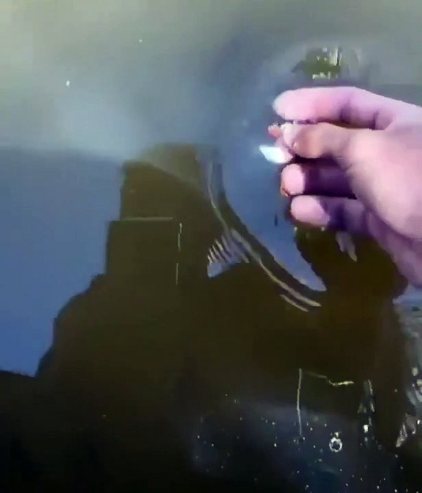 Jovem tem surpresa desagradável ao alimentar os peixes com a mão dentro da água