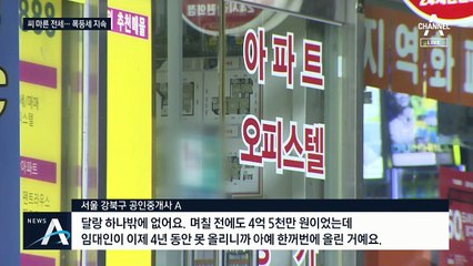 임대차법 시행 뒤 전셋값 더 뛰었다…전세 난민 증가 우려