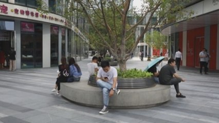 China: veto de EEUU a TikTok y WeChat, un "desvergonzado acto de hegemonía"