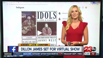 'Idols for a Cause' virtual concert