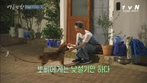 뽀삐야 내 마음을 받아줘...ㅠ 유미의 눈물겨운 짝사랑(?)