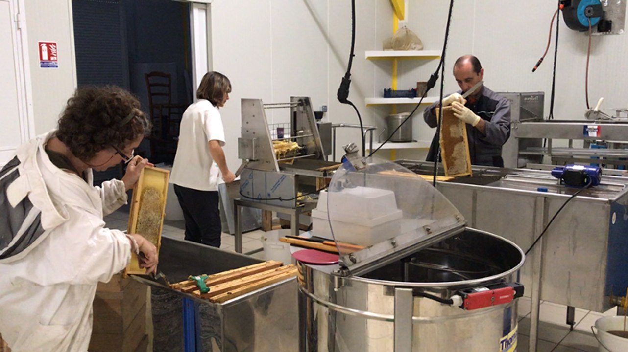 La miellerie collective du Pays nantais accueille ses premiers apiculteurs