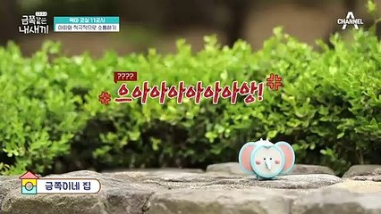 [미방분-육아교실] 강박이 높은 아이를 대하는 법?!☆ 소통을 통해 아이의 강박에 '적극적'으로 개입해주세요