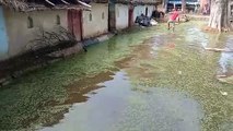 तालाब में बाढ़ आने से लोगों के घरों में घुसा पानी, लोगो को हो रही परेशानी
