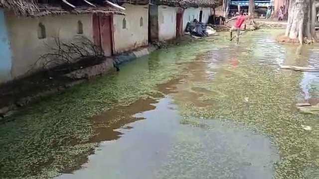 तालाब में बाढ़ आने से लोगों के घरों में घुसा पानी, लोगो को हो रही परेशानी