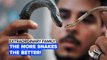 Extraordinary Family: Would you want a neighbor with this many snakes?