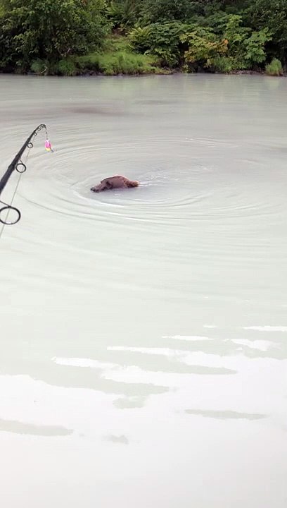 Quand tu pêches et un ours s'approche dangeureusement de ton bateau